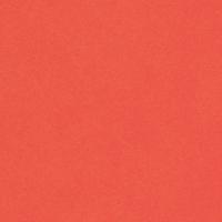 Keaykolour Coral 300gsm 700x1000mm B1 LG Pack Of 100 FSC Mix Credit
