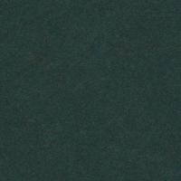 Keaykolour Holly 300gsm 700x1000mm B1 LG Pack Of 100 FSC Mix Credit