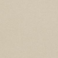 Olin Colours Grey Matt Wove 120gsm 700x1000mm B1 LG Pack Of 250 FSC Mix Credit