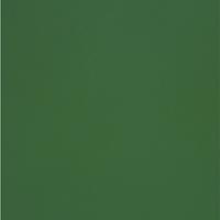 Olin Colours Jungle Green Matt Wove 120Gm2 700 x 1000mm B1 LG Pack Of 250