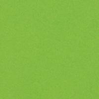 Olin Colours Pistachio Matt Wove 120gsm 700x1000mm B1 LG Pack Of 250 FSC Mix Credit
