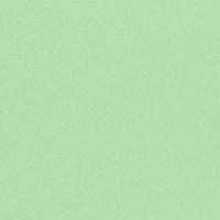 Olin Colours Spring Green Matt Wove 120gsm 700x1000mm B1 LG Pack Of 250 FSC Mix Credit