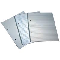 Rhino File Paper Punched 2 Hole 8mm Ruled 205X165mm Pack Of 500 Aq103 3P