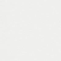 Rives Design Bright White 250Gm2 700 x 1000mm B1 LG Pack of 100