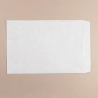 Tyvek C4 Open End Pocket Envelope_11782 324X229mm C4 P/S 100/Pk