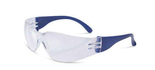 Beeswift Everson Safety Spectacle Clear 