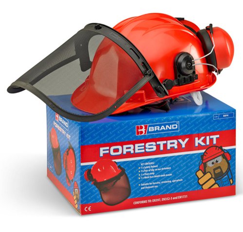 Beeswift Forestry Safety Helmet Kit