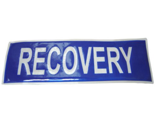 Beeswift Recovery Badge Large 