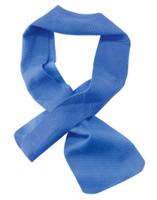 Ergodyne Chill- Its Cooling Towel 10cm X 75cm Blue 10X75cm