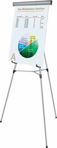 Bi-Office Professional Freestanding Display Easel; Height Adjustable; Silver Structure; 970x1770mm