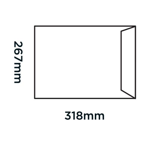 Blake Purely Packaging Board Backed Pocket Envelope 318x267mm Peel and Seal 120gsm Manilla (Pack 125) - 14935  48413BL