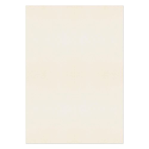 Blake Premium Business Oyster Wove Paper 450x640mm 120gsm Pack 250 Code 71688