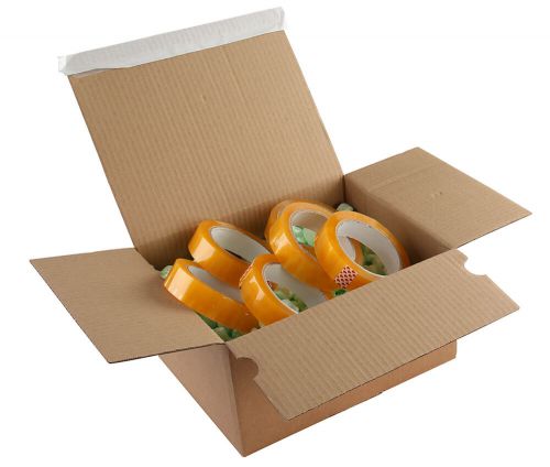 Blake Purely Packaging Kraft Peel & Seal Postal Box 310X230X110mm 131 Pack 20 Code Peb41 3P