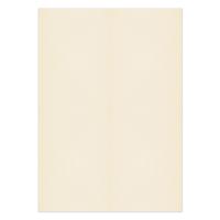 Blake Premium Business Paper A4 120gsm Cream Wove (Pack 500) - 61677