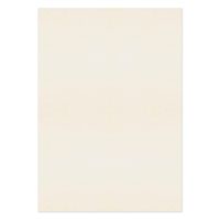 Blake Premium Business Oyster Wove Paper 450X640mm 120Gm2 Pack 250 Code 71688 3P