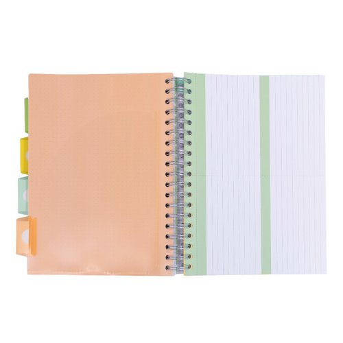 Pukka Pads Pukka Pad B5 Study Book with 4 Coloured Dividers 3 Types of Paper Ruling and Revision Cards Project Books 9824-STU