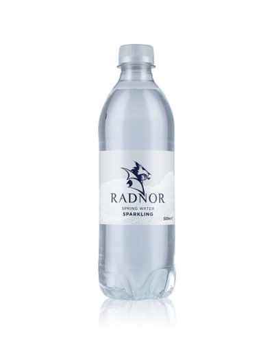 Radnor Hills Sparking Water 500ml Bottles (24)