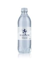 Radnor Hills Sparking Water 500ml Bottles (24)