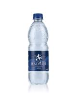 Radnor Hills Still Water 500ml Bottles (24)
