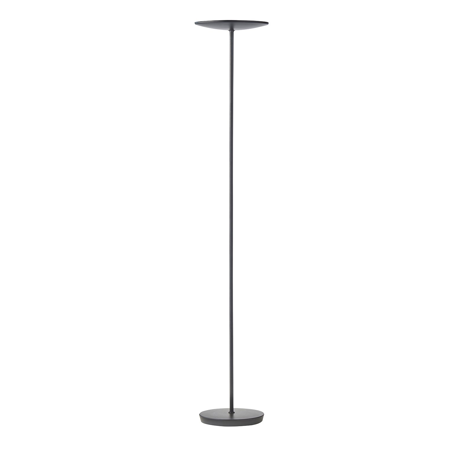 Halsey LED floor lamp - Black