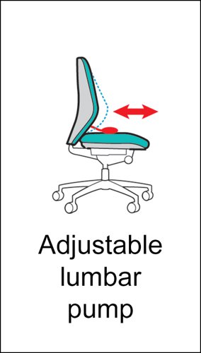 Sofia adjustable lumbar operators chair - charcoal