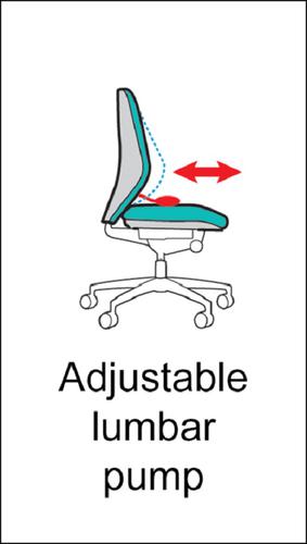 Sofia adjustable lumbar operators chair - charcoal