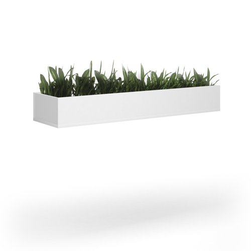 Wooden planter 1600mm wide to fit on side-by-side wooden lockers - white Dams International