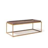Parma rectangular coffee table with a matt gold steel frame and Venus top