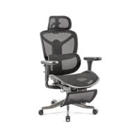 Poise mesh executive chair with headrest, footrest & adjustable arms