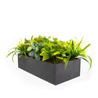 Pre set artificial plants for universal lockers - 800 wide