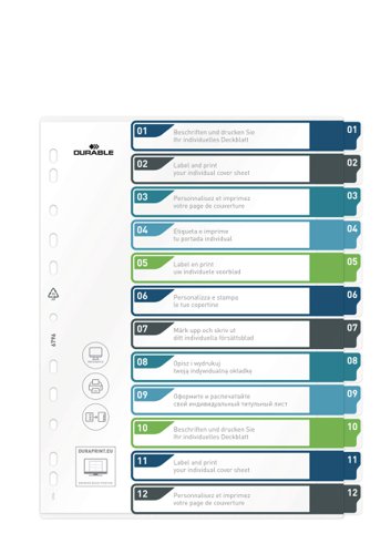 Durable 12 Part Numbered Tab Punched Index Dividers + Cover - A4+ - Colour Coded  679627