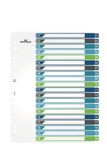 Durable 20 Part Numbered Tab Punched Index Dividers + Cover - A4+ - Colour Coded