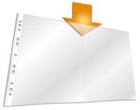Durable BUSINESS Side Punched Pocket A3