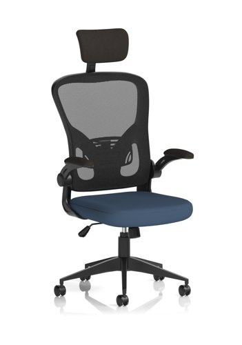 Ace Executive Mesh Chair With Folding Arms Bespoke Colour Seat Quest Whelk