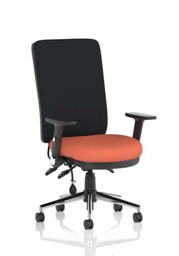 Chiro High Back With Height Adjustable And Folding Arms Bespoke Colour Seat Quest Crab