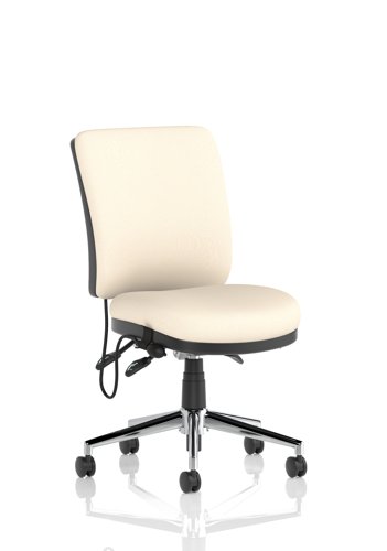 Chiro Medium Back Bespoke Colour Back And Seat Quest Salt