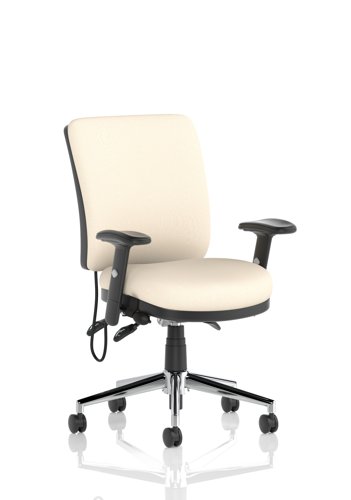 Chiro Medium Back With Height Adjustable Arms Bespoke Colour Back and Seat Quest Salt