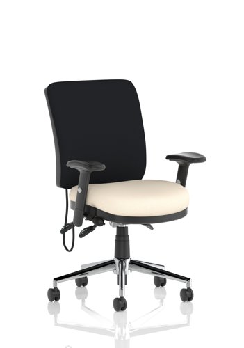 Chiro Medium Back With Height Adjustable Arms Bespoke Colour Seat Quest Salt