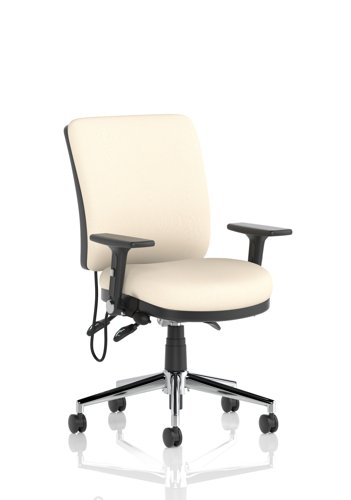 Chiro Medium Back With Height Adjustable And Folding Arms Bespoke Colour Back and Seat Quest Salt