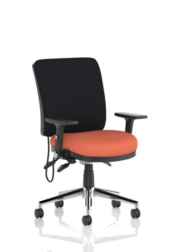 Chiro Medium Back With Height Adjustable And Folding Arms Bespoke Colour Seat Quest Crab