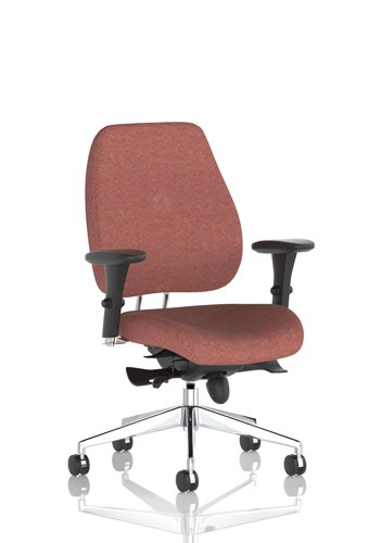 Chiro Plus Bespoke Colour Back And Seat Rivet Forge