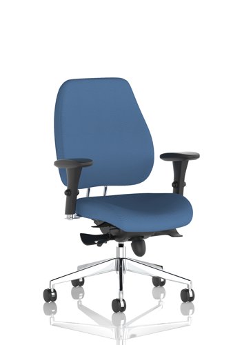 Chiro Plus Bespoke Colour Back And Seat Quest Limpet