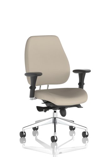 Chiro Plus Bespoke Colour Back And Seat Quest Salt