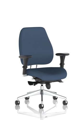 Chiro Plus Bespoke Colour Back And Seat Quest Whelk