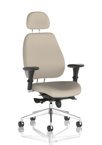 Chiro Plus With Headrest Bespoke Colour Back And Seat Quest Salt