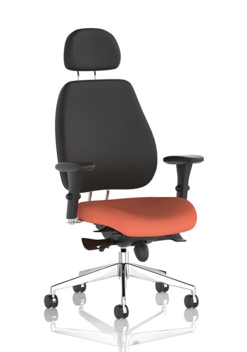 Chiro Plus With Headrest Bespoke Colour Seat Quest Crab