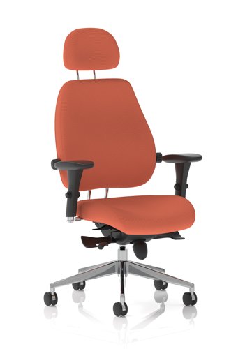 Chiro Plus Ultimate Bespoke Colour Back And Seat Quest Crab