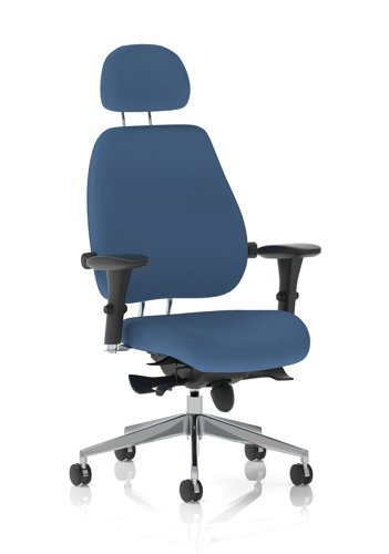 Chiro Plus Ultimate Bespoke Colour Back And Seat Quest Limpet