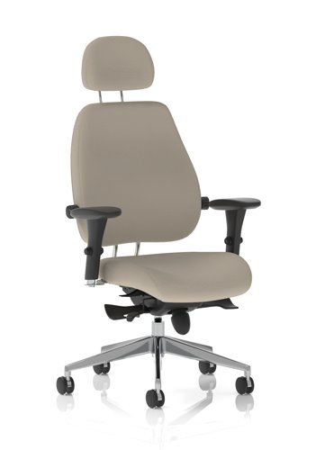 Chiro Plus Ultimate Bespoke Colour Back And Seat Quest Salt