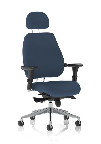 Chiro Plus Ultimate Bespoke Colour Back And Seat Quest Whelk
